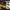6th Gen Chevrolet Camaro Carbon Fiber Trunk Lid (2016–2024) | DriveTech Innovations