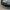 BMW G80 M3 / G82 M4 Dry Carbon Fiber V-Type Grille | DriveTech Innovations