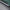 BMW M3/M4 G80/G82 Dry Carbon Fiber Single Flat Side Skirts | DriveTech Innovations